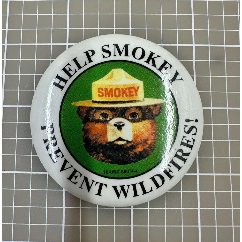 Vintage 1970s‎ Smokey Bear Pin Button Help Prevent Wildfires Forest Badge